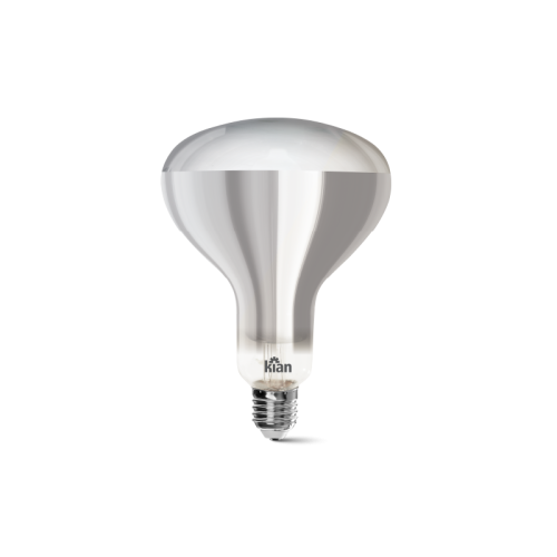 Incandescente Especial  e Refletora