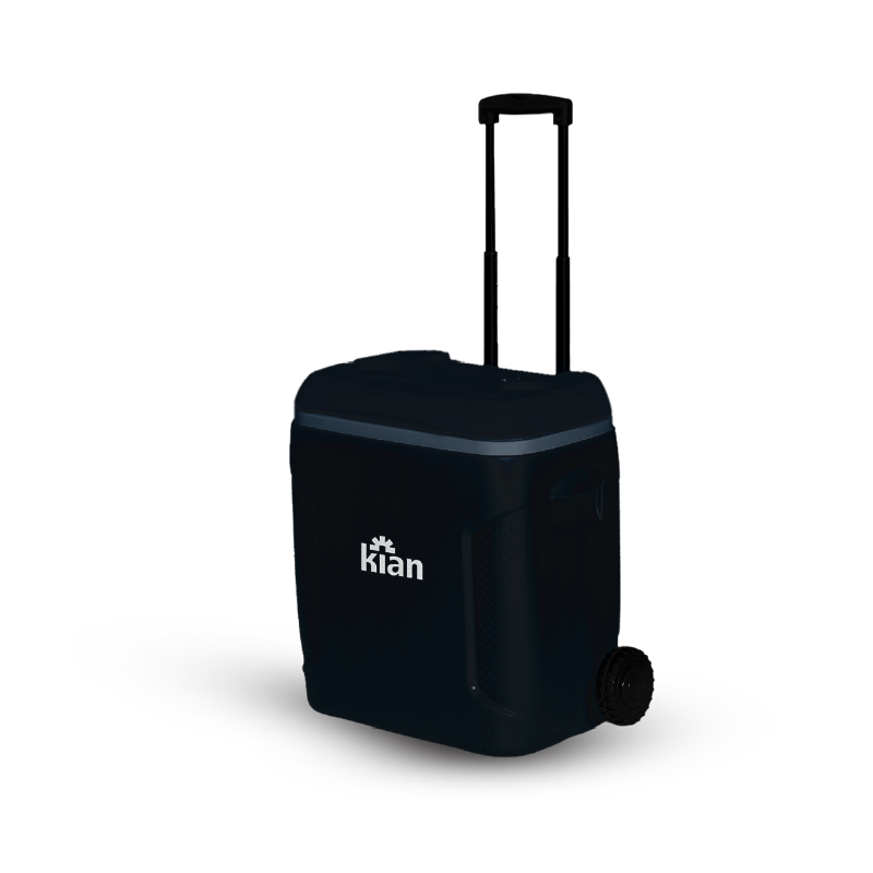 Caixa Térmica com rodas