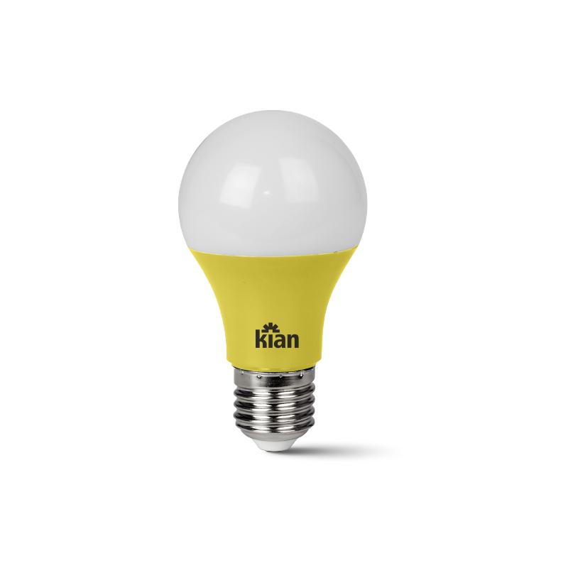 LED Coloridas