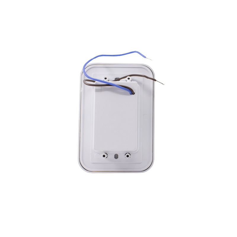 LED Wall Light