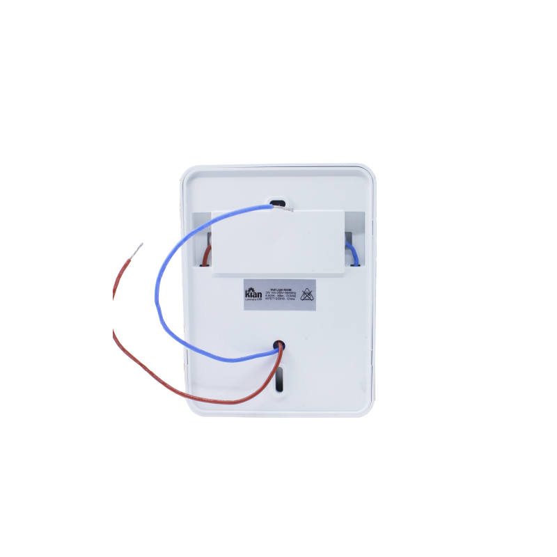 LED Wall Light